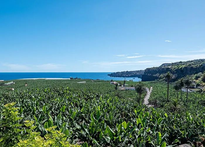 Terrazas Malpais - El Guincho, Garachico